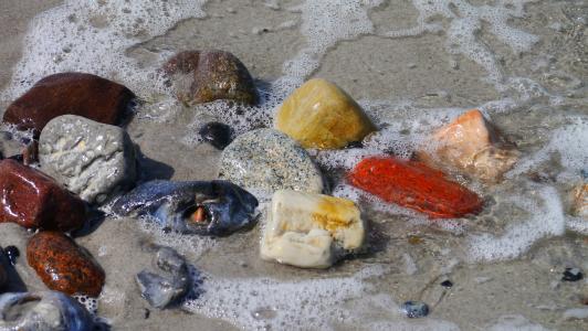 石头, 多彩, 海滩, 结构, 颜色, 水, 海岸