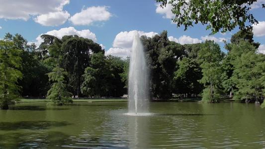 景观, 来源, 公园, 马德里, 池塘, 退休