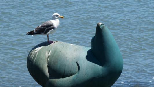 海鸥, 密封, 雕像, 海滩