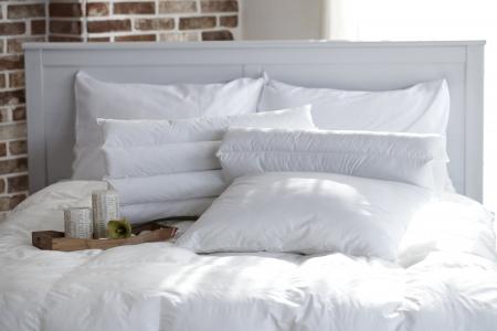 枕头, 卧室, 蜻蜓, 被子, 白色的颜色, 床上, 室内