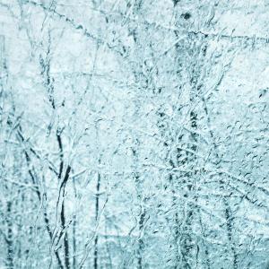 树木, 冬天, 窗口, 白色, 感冒, 森林, 弗罗斯特