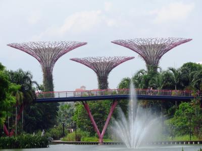 新加坡, 海湾花园, 玛丽娜, 旅游, 花园, 亚洲