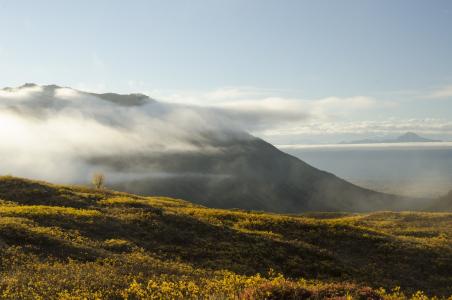 景观, 雾, 自然, 风景名胜, 早上, 阳光, 有雾