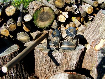 靴子, 木材切割, 树桩