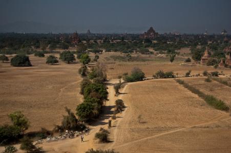 蒲甘, 缅甸, 旅行, 金黄土地, 古代, 宝塔, 景观