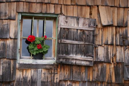 窗口, 度假, 挂牌, 房子门面, 木瓦, 装饰, 花