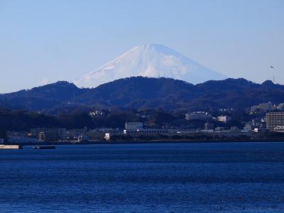 富士, mabori 海岸, 海, 山, 东京湾, 日本神奈川, 横须贺