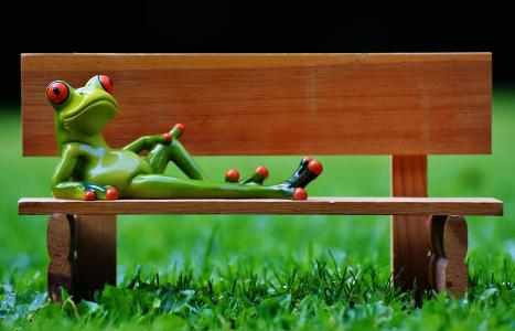 青蛙, 银行, 板凳, 放松, 图, 有趣, 休息