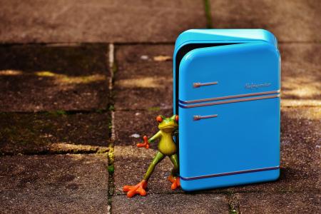 青蛙, 冰箱, 蓝色, 图, 有趣, 乐趣, 青蛙