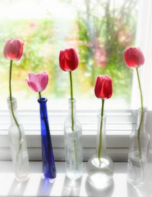 春天, 郁金香, 一瓶, 花, 光, 窗口