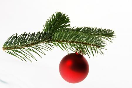 冷杉, nordmann 冷杉, 圣诞树, 圣诞节, 球, 德科, 圣诞装饰品