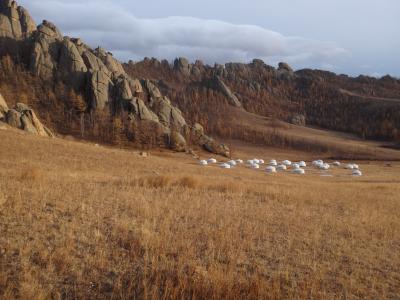 蒙古, 国家公园, 草原, 秋天, 黄金, 棕色金棕色, 蒙古包