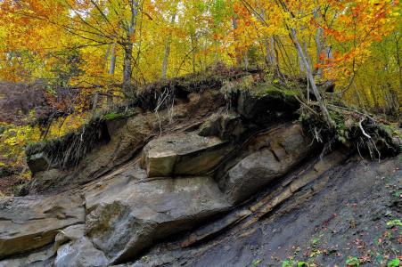 岩石, 森林, 秋天, 景观, 自然, 美丽, 户外