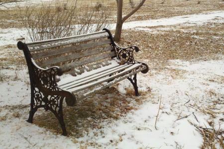 板凳, 公园, 雪, 冬天, 草, 铸铁, 木材