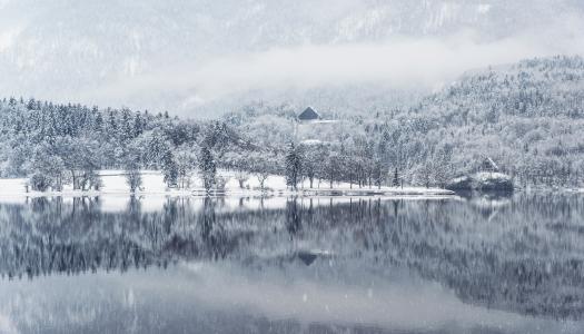 雾, 森林, 湖, 景观, 山, 雪, 下雪了