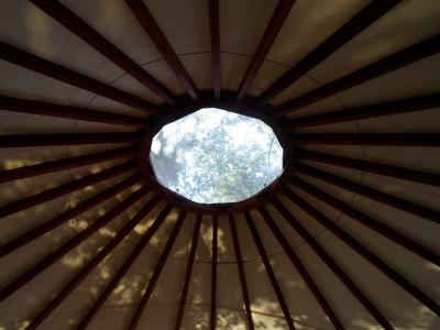 蒙古包, 圈子, 窗口, 传统, 帐篷, 屋面, 天花板