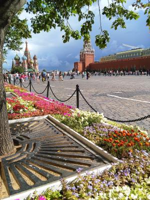 莫斯科, 红场, 圣洁罗勒, 大教堂, 多云, 建筑, 著名的地方
