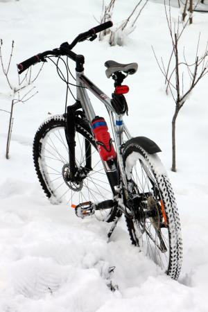 自行车, 感冒, 骑自行车, 山, 骑马, 雪, 轮胎