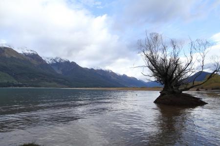 新西兰, 湖景房, 水树