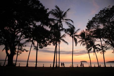日落, kotakinabalu, 海, 木材, 棕榈树, 剪影, 海滩