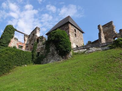 废墟, 奥地利, 城堡, 景观