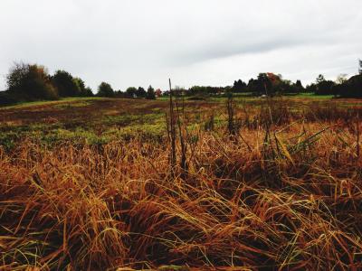 秋天, 字段, 稻草, 景观, 灰色的天空, 云彩, 可耕