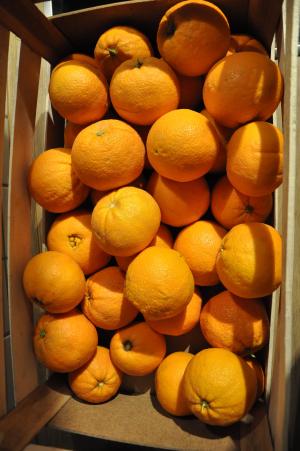橘子, 橙色盒, 脐橙