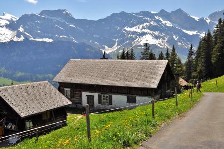 碱性磷酸酶, 瑞士, 小屋, 山区集团, 山脉, 瑞士的阿尔卑斯山, 景观