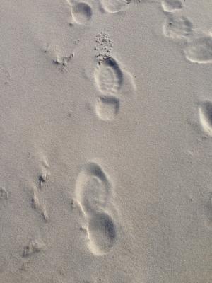 沙子, 波罗地海, 痕迹, 海滩, 鞋子, 男性