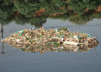 垃圾, 河松树, 废墟, 污染, 宠物瓶, 下水道, 圣保罗
