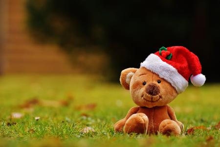 圣诞节, 泰迪, 软玩具, 圣诞老人的帽子, 有趣, 草, 没有人