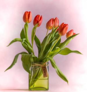 郁金香, 花瓶, 红色, 花束, 花, 春天, 春天的花朵