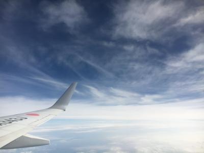 飞机, 航空公司, 旅行, 旅行, 蓝色, 天空, 飞行