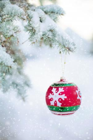 圣诞节装饰品, 灯泡, 雪树, 松树, 云杉, 圣诞节, 装饰