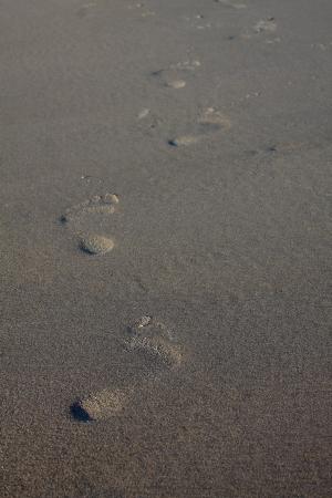 沙子, 足迹, 海滩, 沙海中的足迹, 脚印, 转载