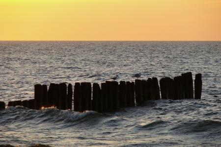 海, 海鸥, 防波堤, 日落, 波罗地海, 地平线, 橙色的天空