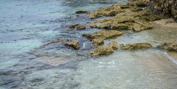 珊瑚礁, 墨西哥, 水, 加勒比海, 岩石, 浮潜, 背景