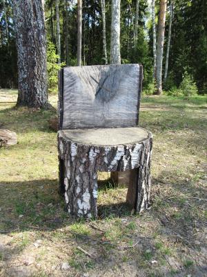 椅子, 森林, 树
