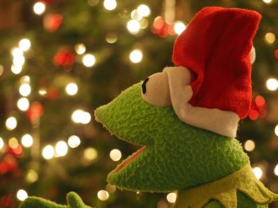 克米特, 青蛙, 圣诞青蛙, 圣诞节, 圣诞老人, 性格开朗, 有趣