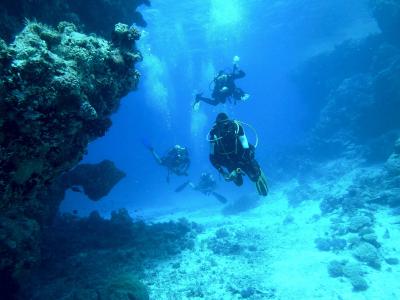 跳水, 水下, 海, 浮法, 呼吸装置, 潜水员, 海底世界