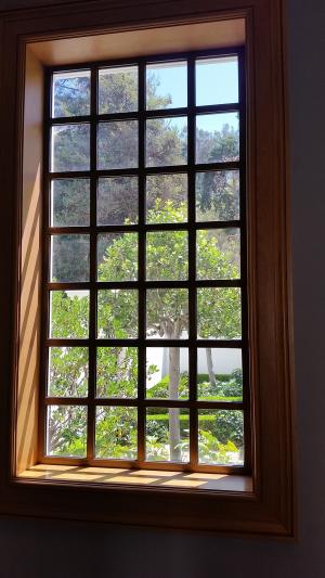 窗口视图, 窗口, 园林景观, 光, 室内, 没有人, 白天