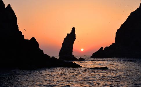 独岛, 韩国, 我们的领土, gyeongsangbuk-做, 一个美丽的岛屿, 19, 海鸥