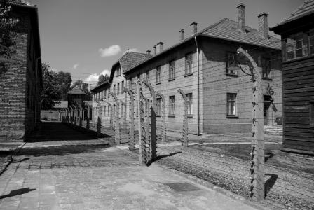 奥斯威辛-克, 集中营, 纳粹, 犯罪, 希特勒, 奥斯威辛集中营, 克