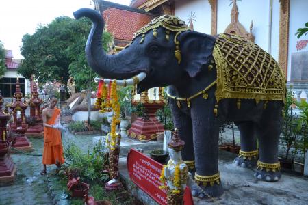 大象, 和尚, 泰国, 寺, 浇水, 花园, 清迈