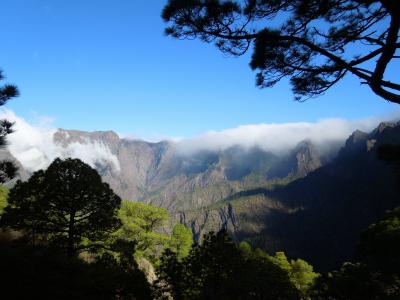 拉帕尔马, 自然, 加那利群岛, 徒步旅行, 卡尔德拉, 雾