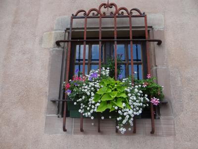 窗口, 网格, 花, sarrebourg, 摩泽尔, 立面, 房子