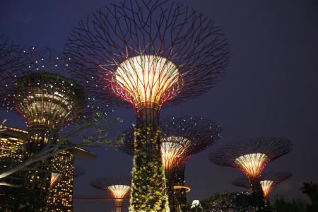 海湾新加坡花园, 服饰, 新加坡, 具有里程碑意义, 湾, 公园, 建筑