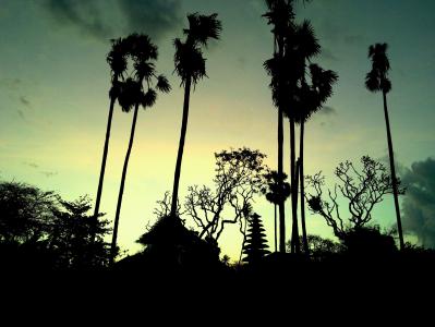 巴厘岛, 萨巴海滩, 棕榈树