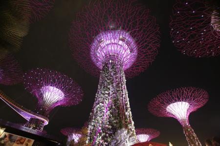服饰, 晚上, 新加坡, 建筑, 光, 具有里程碑意义, 现代