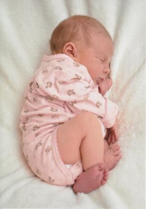 宝贝, 出生, 粉色, 新生儿, 女孩, 橡皮布, 爬衣
